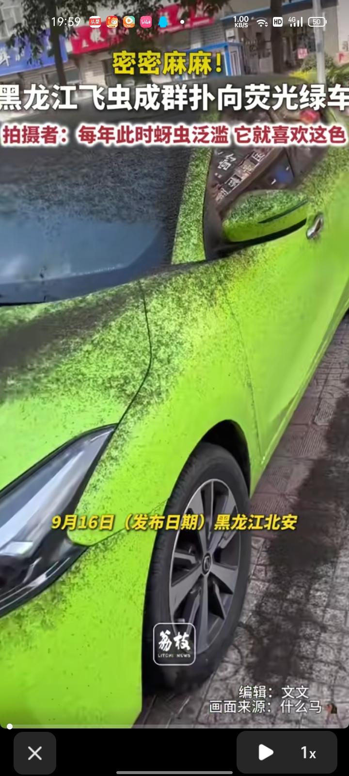 9月15日，黑龙江黑河。网友发视频称，自己的车子被飞虫吸引，看起来密密麻麻。这些