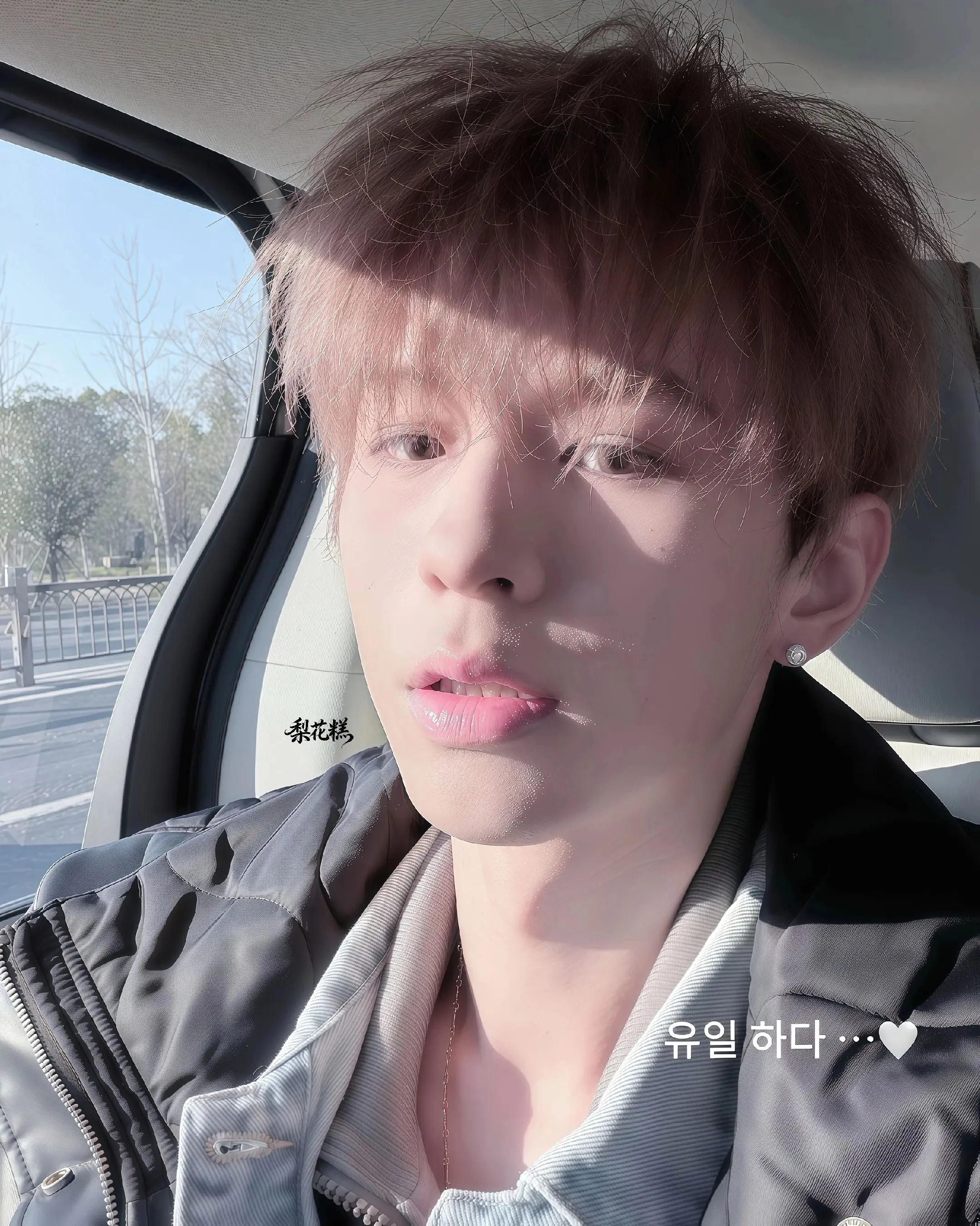 如果生命是橘瓣脉络 苦涩而自得其所