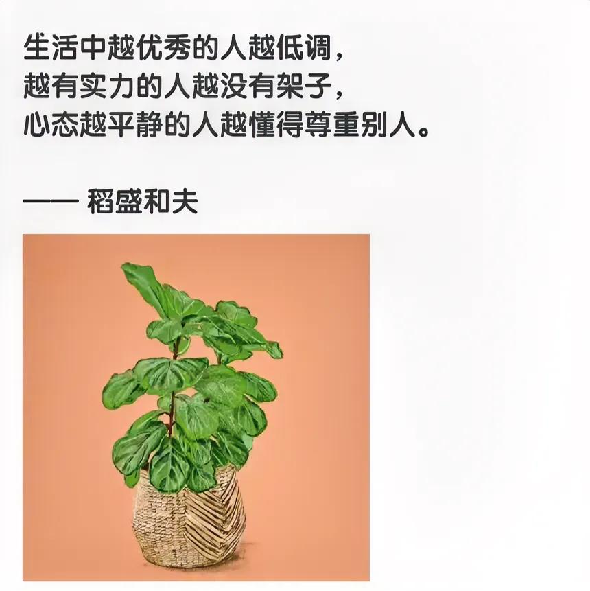 真正的“人格”是实现自己的目标。——稻盛和夫