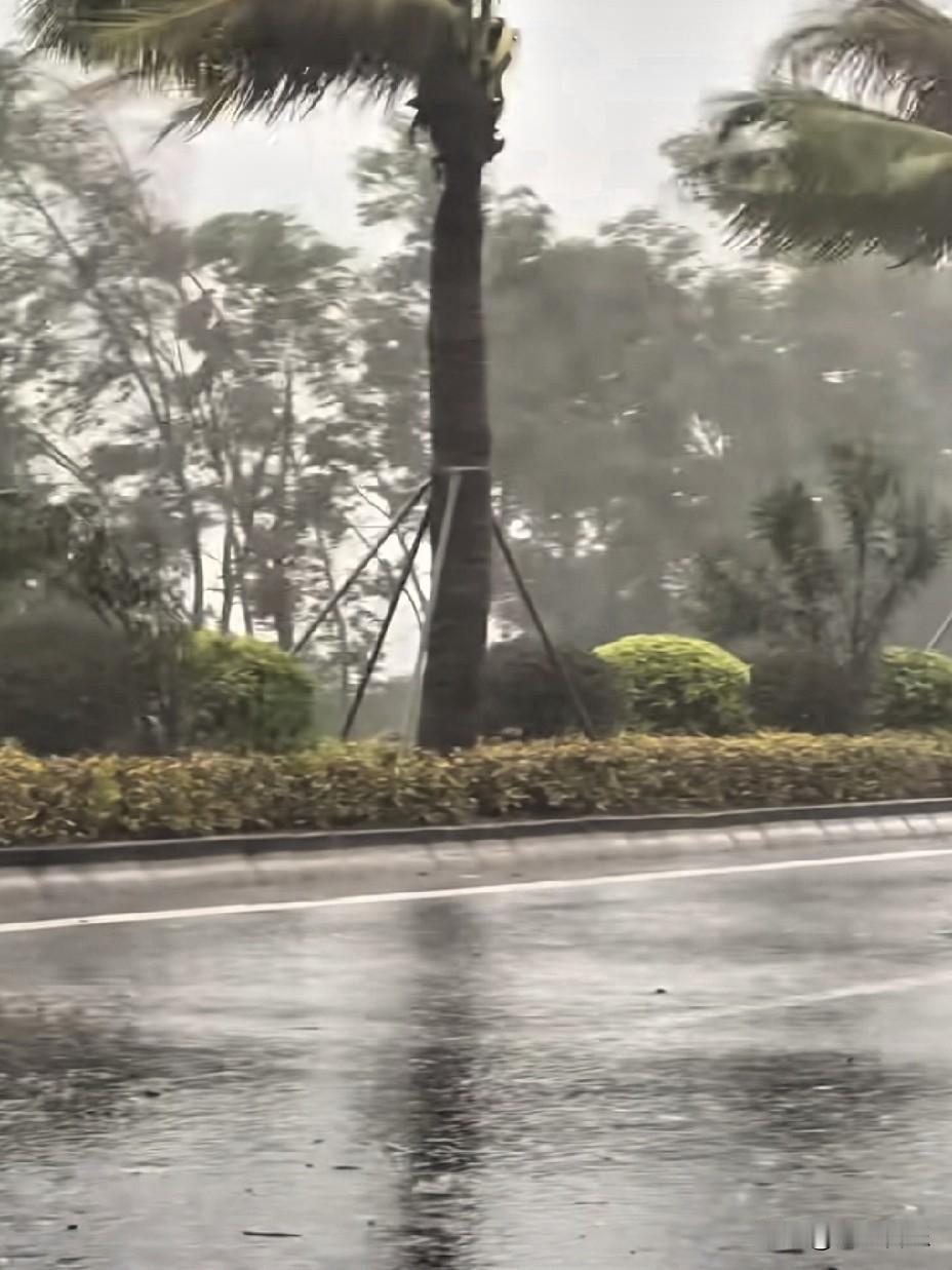 释联：
这幅对联以自然景象的时空转换为脉络，上联写的是昨夜风雨交加的猛烈（动态场