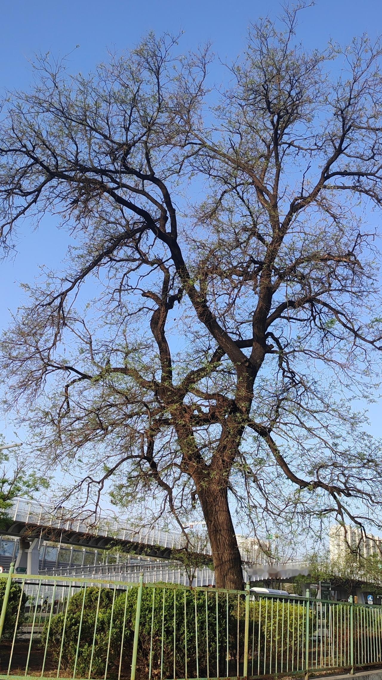 棋道兵略：方寸之间的运筹帷幄

棋盘铺开，楚河汉界分明。红黑两军列阵对峙，俨然两