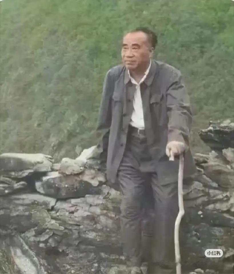 朱德元帅井冈山留影
在岁月长河的冲刷下，老照片宛如不朽的星辰，承载着往昔的珍贵记
