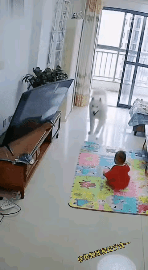 没有看明白，电视好好的为什么会倒下来呢？由于没有看到最开始到底发生了什么，所以无