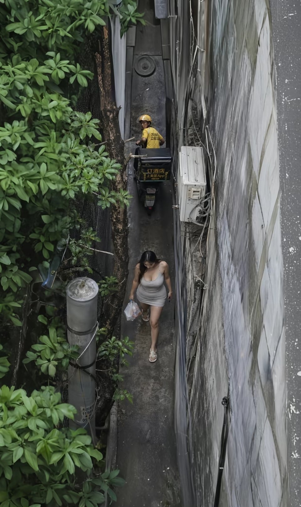 早上好各位。 