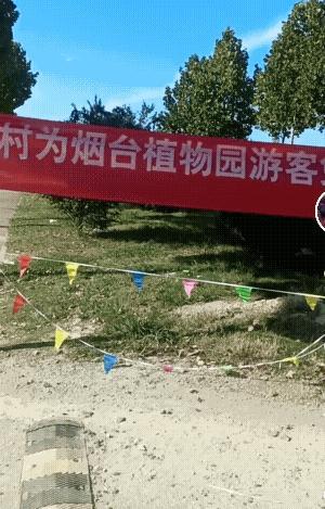 南村免费为植物园游客提供停车场，这个如果是真的那就让我对南村刮目相看了，看来南村