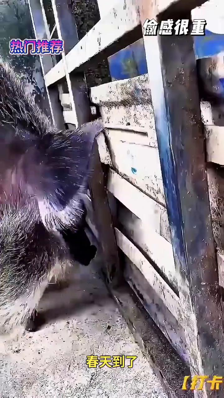 热门推荐：春天到了。