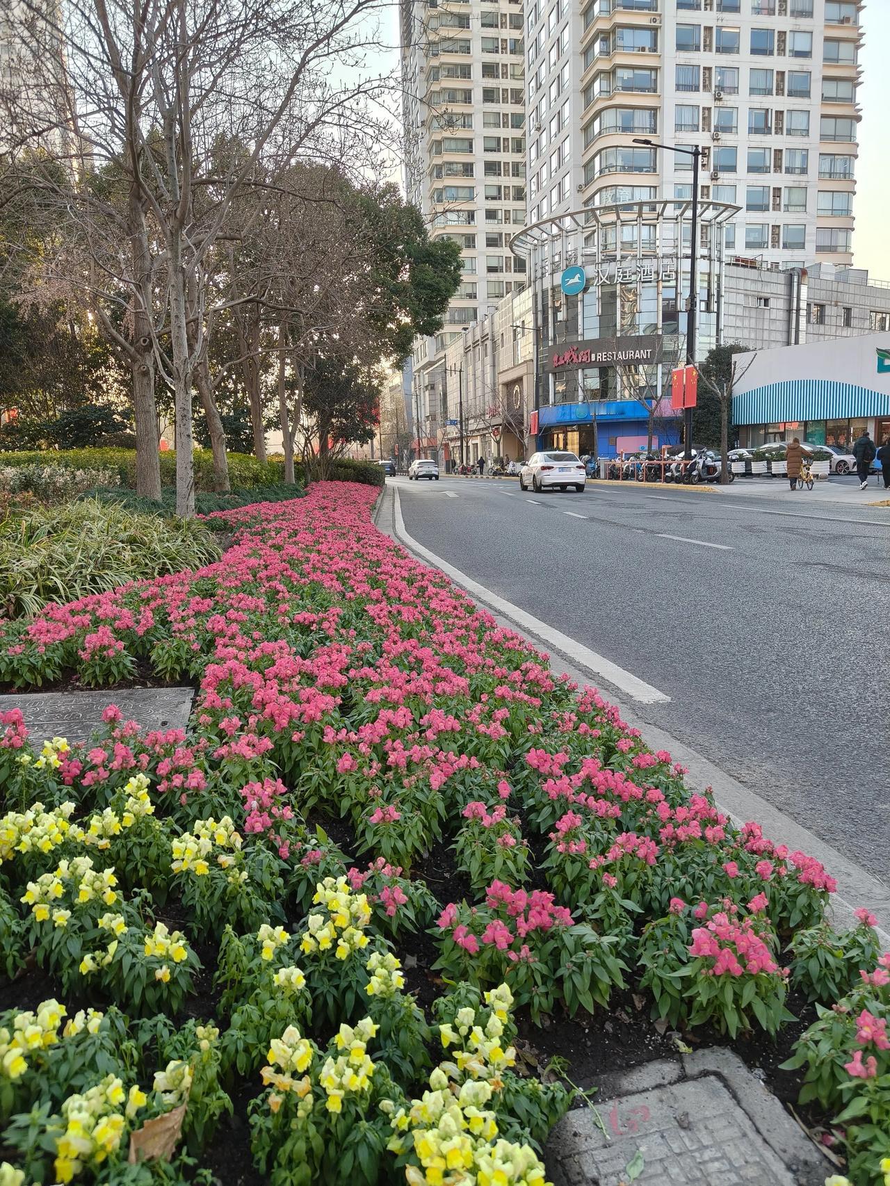 冬日公园随手拍实景图分享！

新年第三天和平公园只走了半圈～[我想静静]