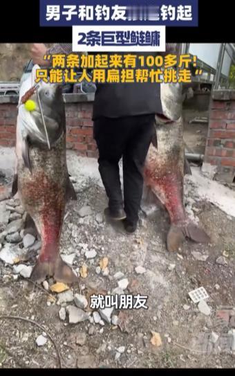 “简直赚翻了！”10月6日，重庆，一男子和钓友接连钓起两条巨型鲢鳙，加起来足足有
