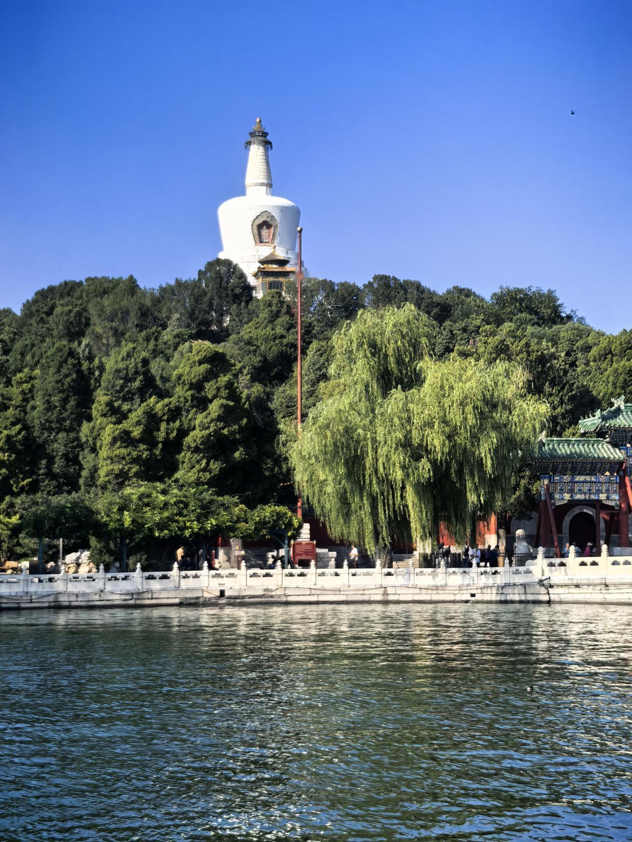 分享一张随手拍