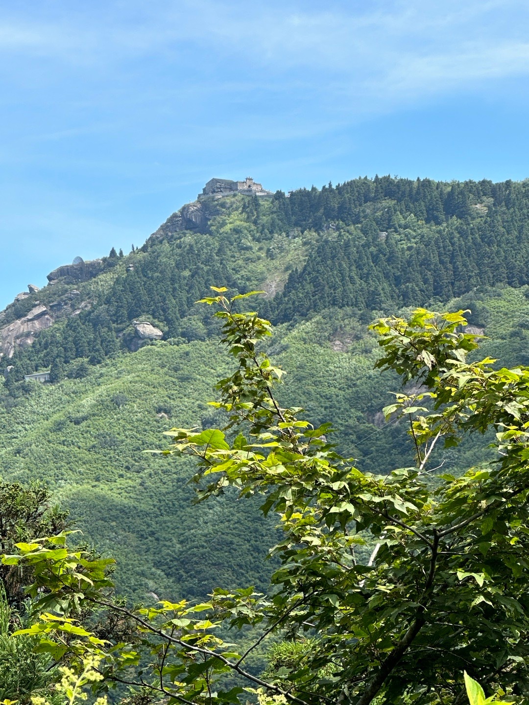 上次来是前年 这两年又发生了许多事情 这次来心态与上次相比 真的好了特别多 我们
