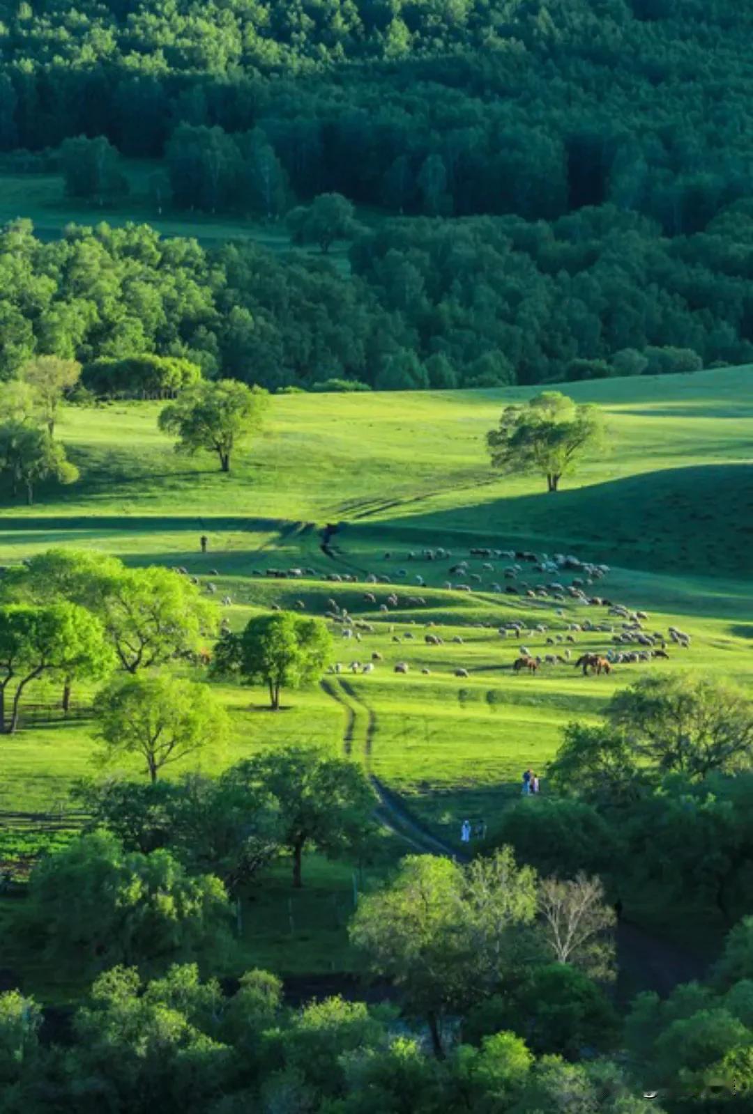 心灵书舫说 : “任何关系，出现不尊重，就是信号。无需争论，不必原谅，远离是唯一