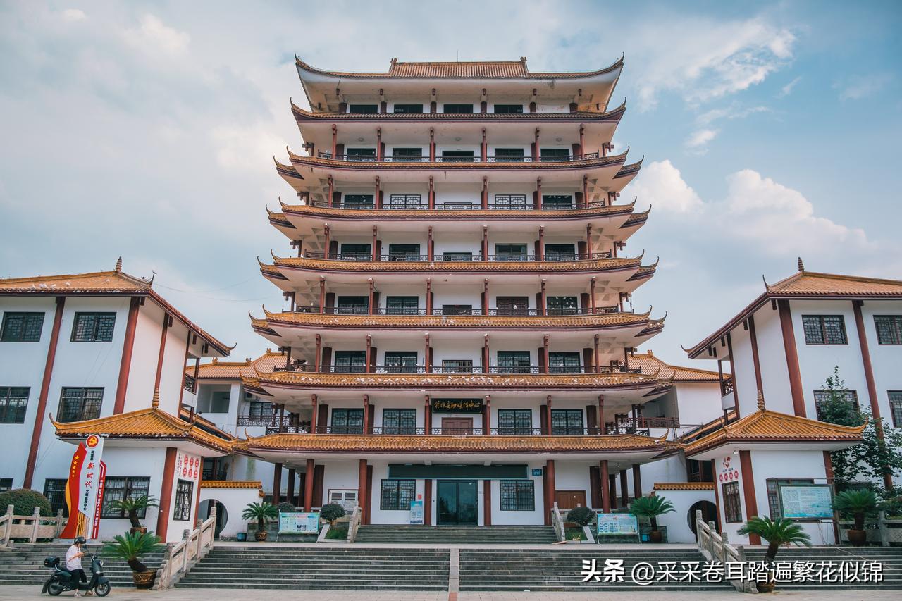 你知道你的城市那些在旅游景点「营业」的白鸽下班后在哪里休息吗？我偶然发现了湖南湘