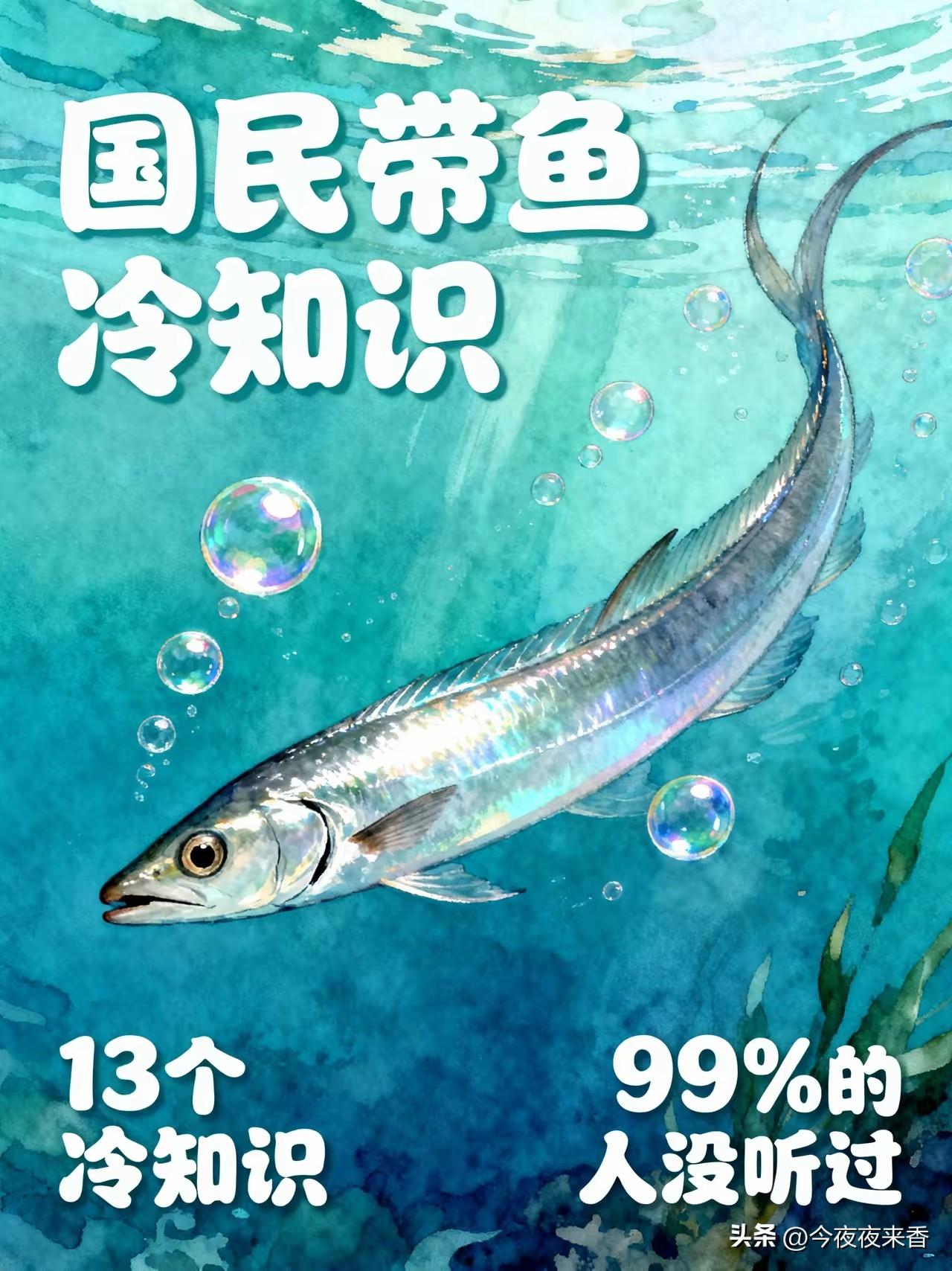 带鱼是公认的国贼，不是骂它，是说它
藏在菜市场里最常见的国民带鱼，有13个冷知识