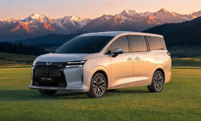 虽然MPV仍是相对窄众的市场，但也已经更细分成两个极端的市场。
一边儿是以新造车