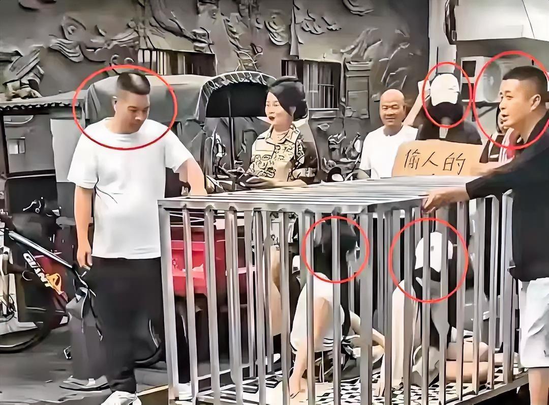 为博流量把女子关铁笼游街，策划者被刑拘，律师：涉嫌寻衅滋事最高可判10年…

湖