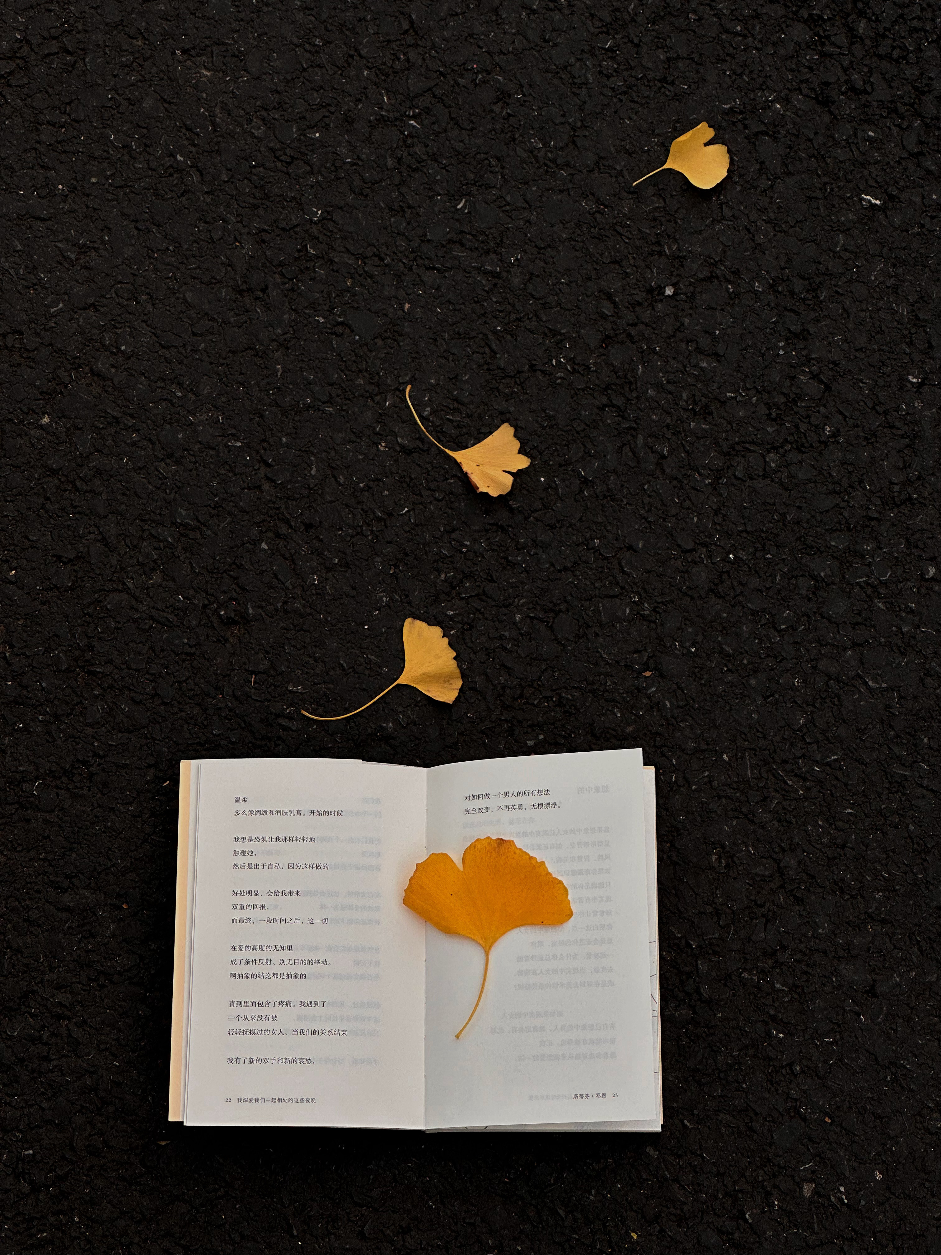 读书也好，与人交谈也罢，总之那些你认为会对将来有所帮助的事情，都去尝试做做看吧。