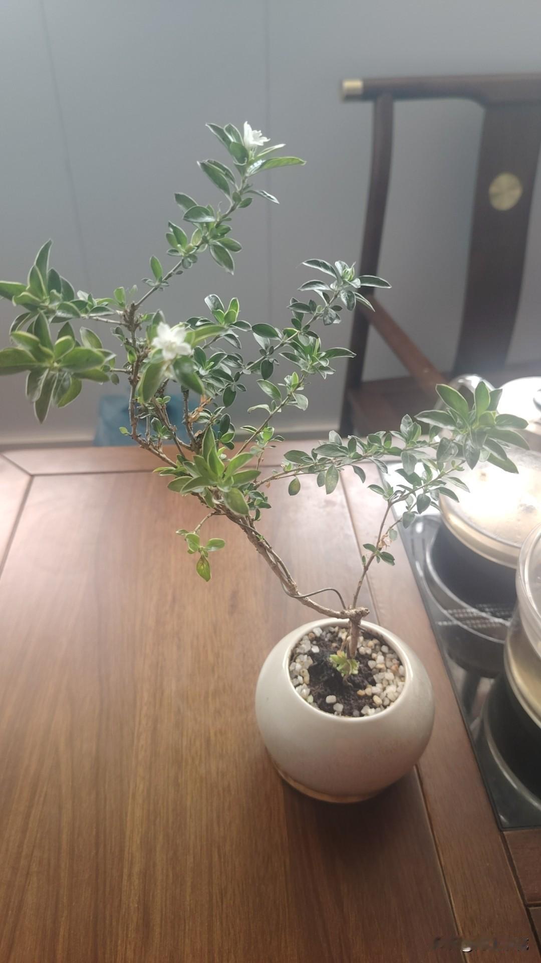 年轻的时候好像自己还有点兴趣读书啊，学习啊，约朋友去逛街啊，随着年龄的增长，随着