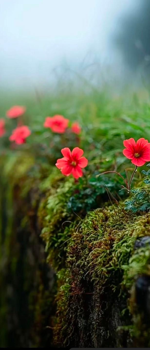 对于工作，你选择喜欢的还是工资高的呢？
我认为，如果经济条件允许，那就选择自己喜