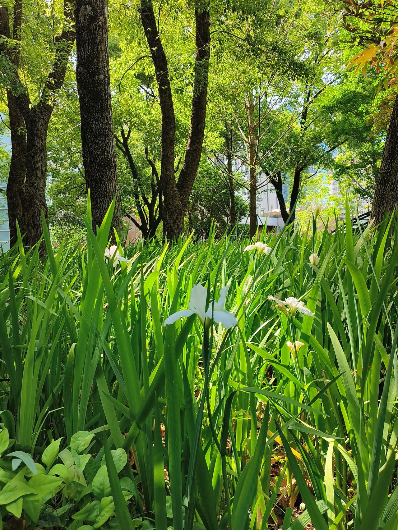 花草🌿日记～🌸🌸🌸🌸

2025春季花展随手拍实景图分享！

4月花展