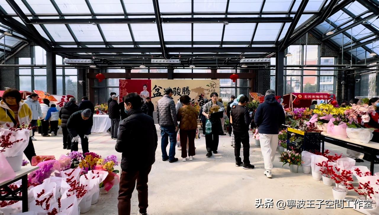 宁波新晋打卡地！盆景园今日开园，汉服巡游+非遗表演，现场人气爆棚

2026年2