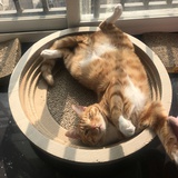 王彬逛逛娱乐
