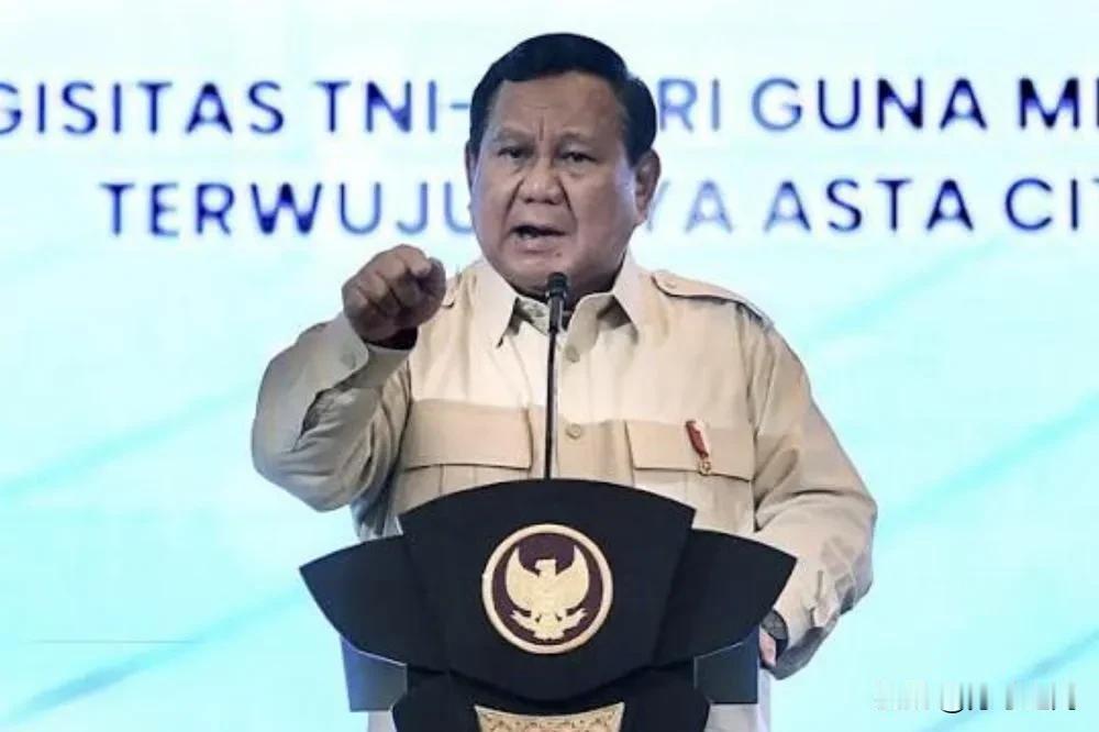 印尼领导人称有外国投资者不请自来“掠夺”印尼自然资源，有媒体解读称可能针对中国，