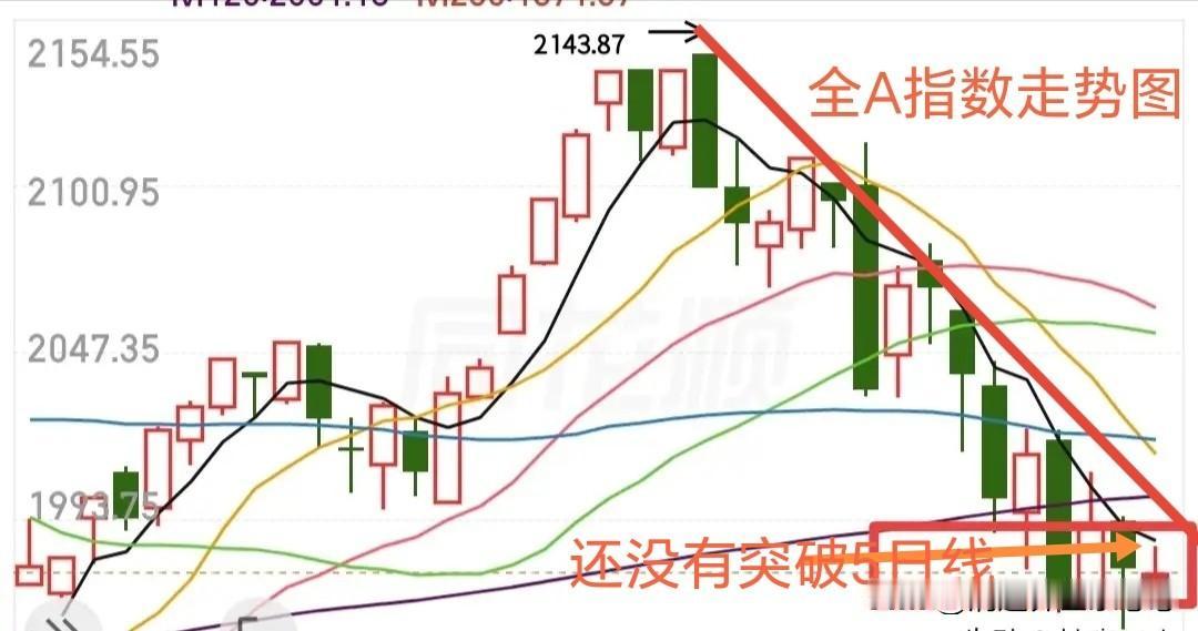 6.3日基金操作观点。创业板指数创出历史新高，上周五及本周一谁能想到今天会创出新
