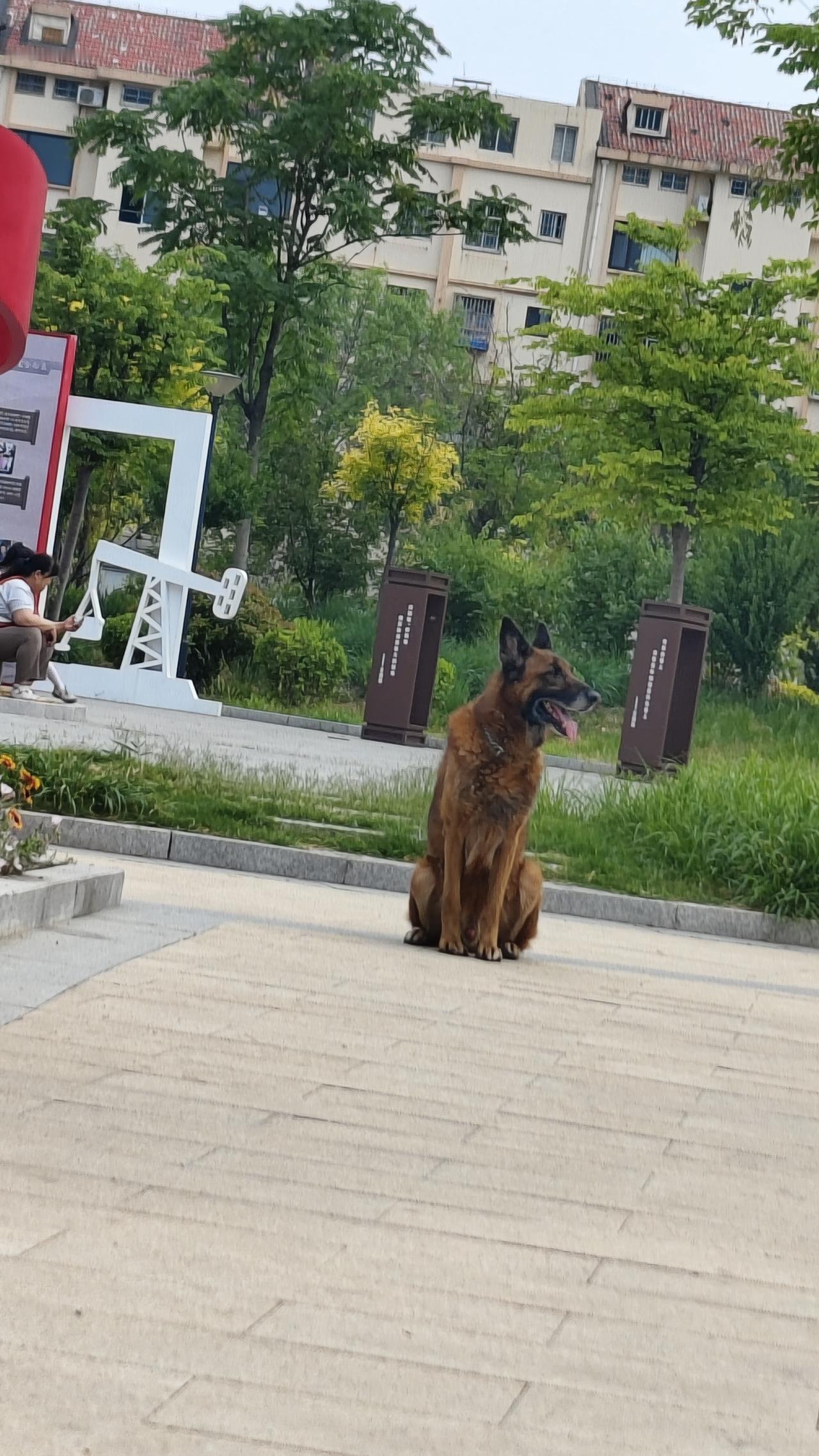 今天在公园里遇到的小精灵们，每一个都那么引人注目。
发展生活中的各种灵性，你会感
