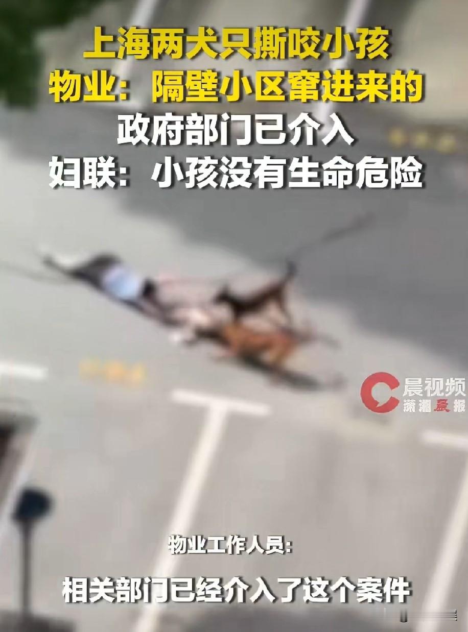 恶狗伤人！
一幼童在小区里被两只狗疯狂撕咬，狗主人一句话惹怒全网。

2026年