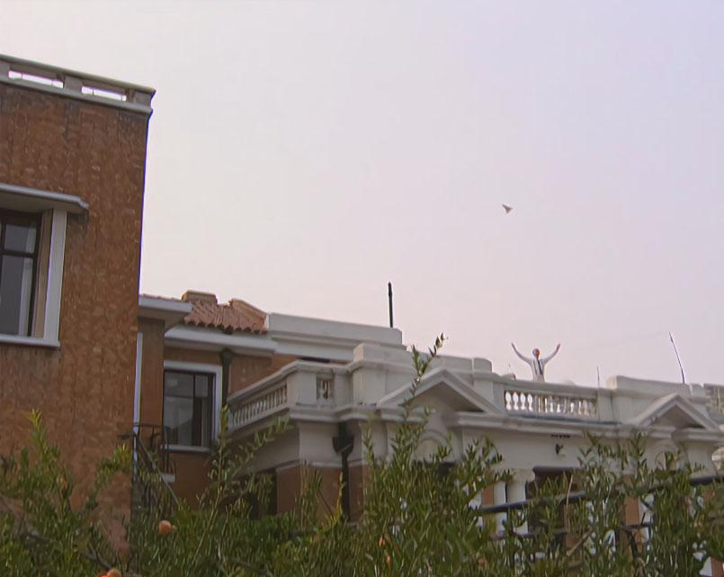 为什么《金粉世家》中有很多放鸽子的画面？

小怜和金燕西都放过鸽子，频繁给鸽子画
