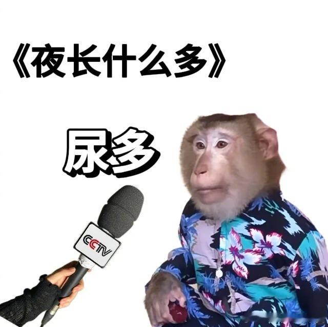 脑子和耳朵不在同一平行线上主打已读乱回 搞笑幽默搞笑日常神评论搞笑 ​​​