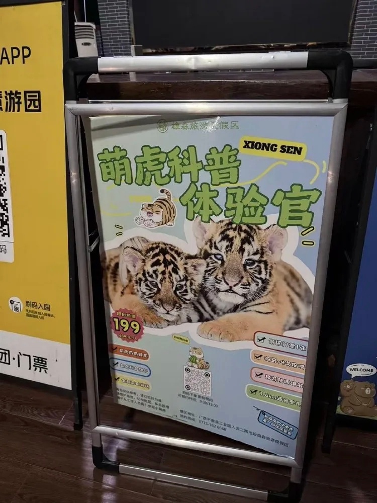 7岁女童在动物园被小老虎咬伤让公众（尤其是儿童）与未成年的野生猛兽进行“亲密互动