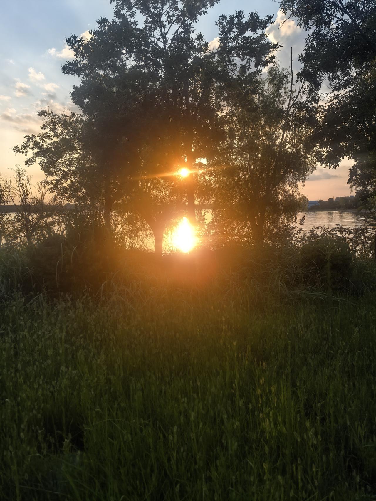 前天因为写到我去公园最隐秘的一角，发现了最隐蔽幕的一幕，然后，赶紧掉头回转。就有