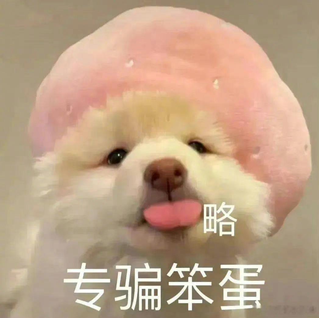 长沙街头不缺观众随处都有自发形成的小圈子，表演者尽情展现才艺，路人真诚捧场给予鼓