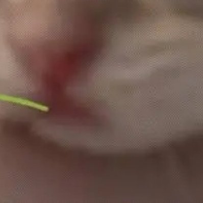 阳光信用 💫阳光信用 💫每日一善 愿时光能缓，愿故人不散；愿你惦念的人能和你