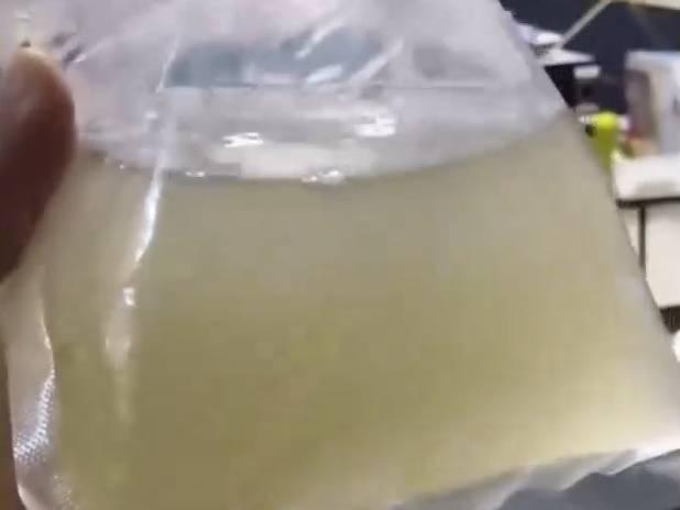 网购50条观赏鱼结果收到一袋水？商家：已退款，路上被煮化了……

11月12日，
