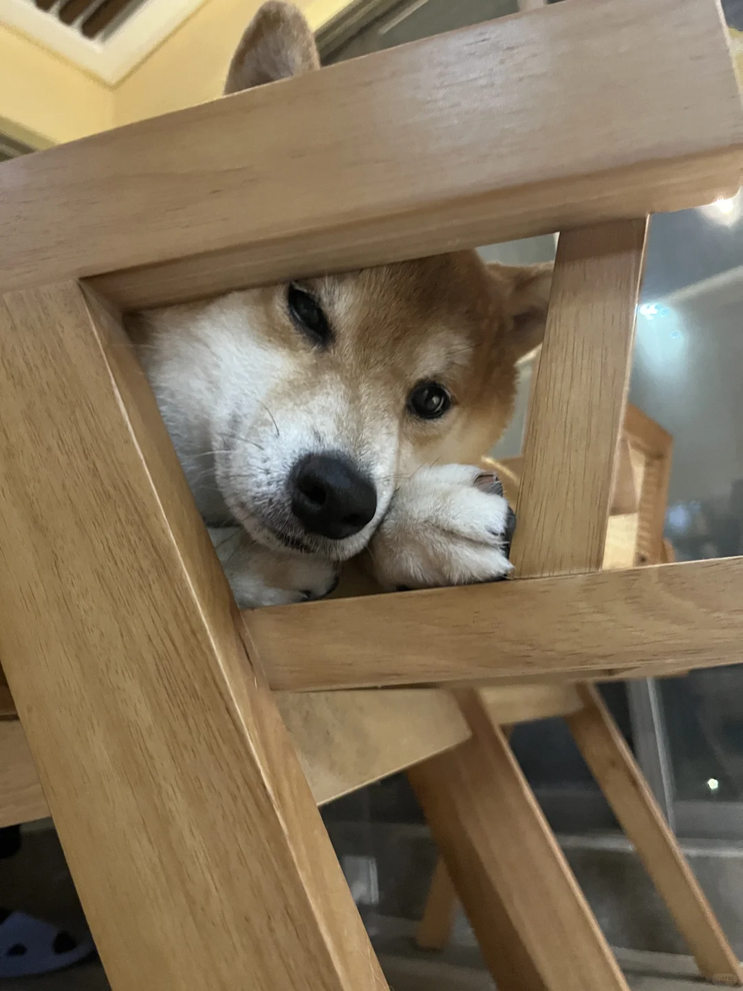 ee们，玩捉迷藏不？？！！