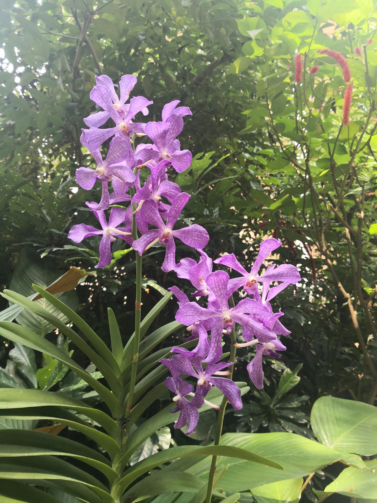 允许一切发生，这心态真的绝了。老子说“道法自然”，世事本就无常，得失难料。就像我
