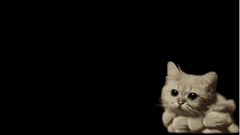 Windows对于HDR的支持真的是连安卓的脚都算不上。原因是，这两天一直感觉主