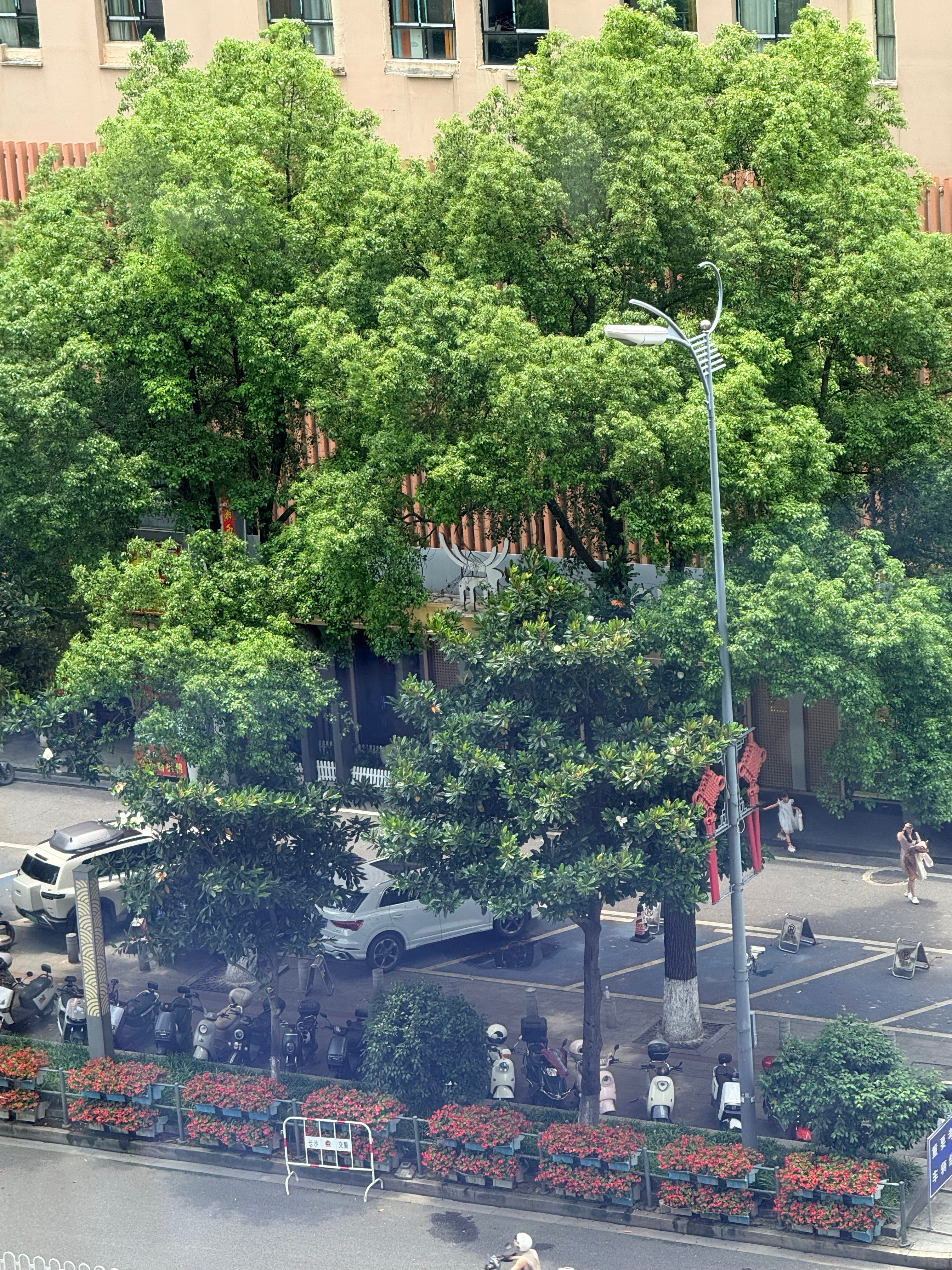 忘记太简单