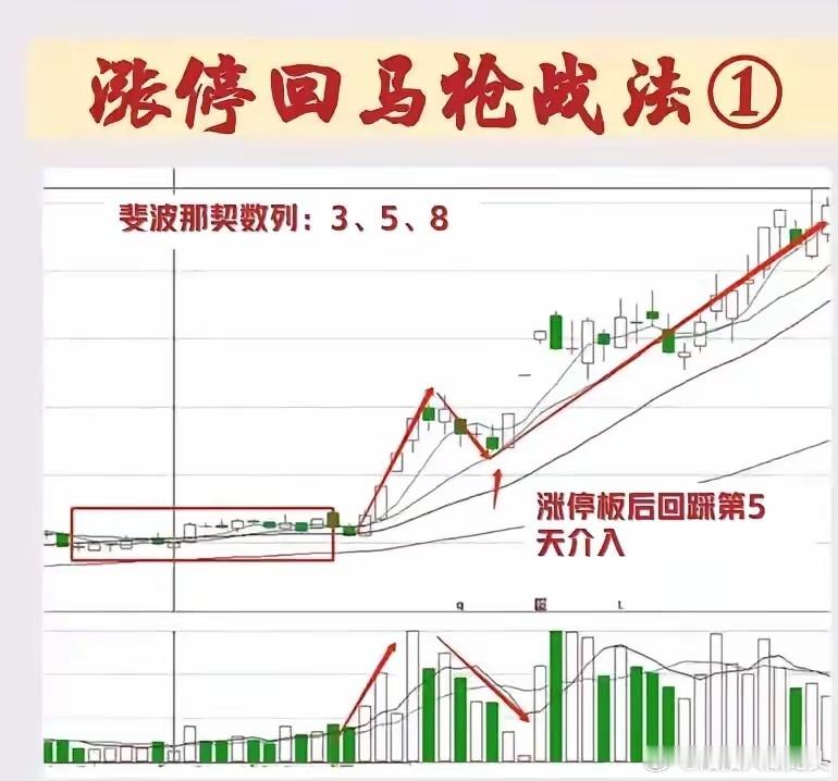 涨停回马枪战法。涨停回马枪战法听起来就很有策略性。  就像农发种业那类股票符合的