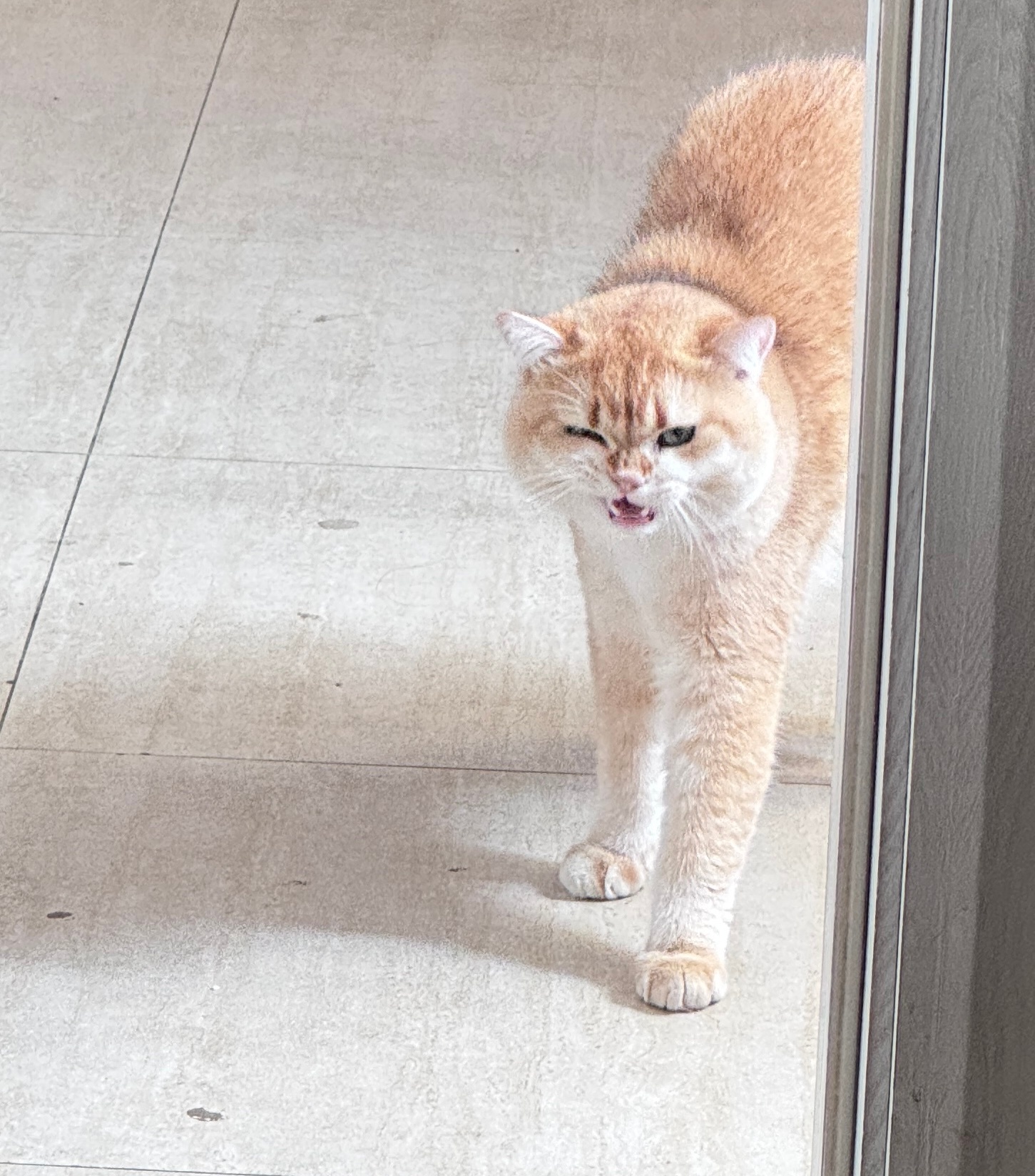 哈哈哈哈哈哈哈哈真可爱~ 