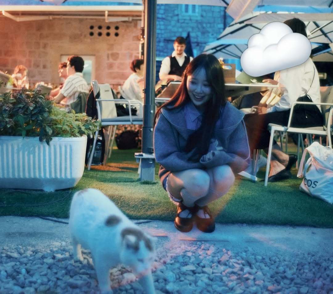 堀未央奈🌙🐈猫さん、何考えてるんだろうなつがくるね 