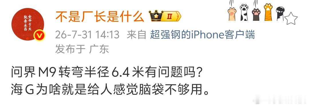 问界M9 转弯半径6.4米有问题吗?海G为啥就是给人感觉脑袋不够用。啊！？难道我