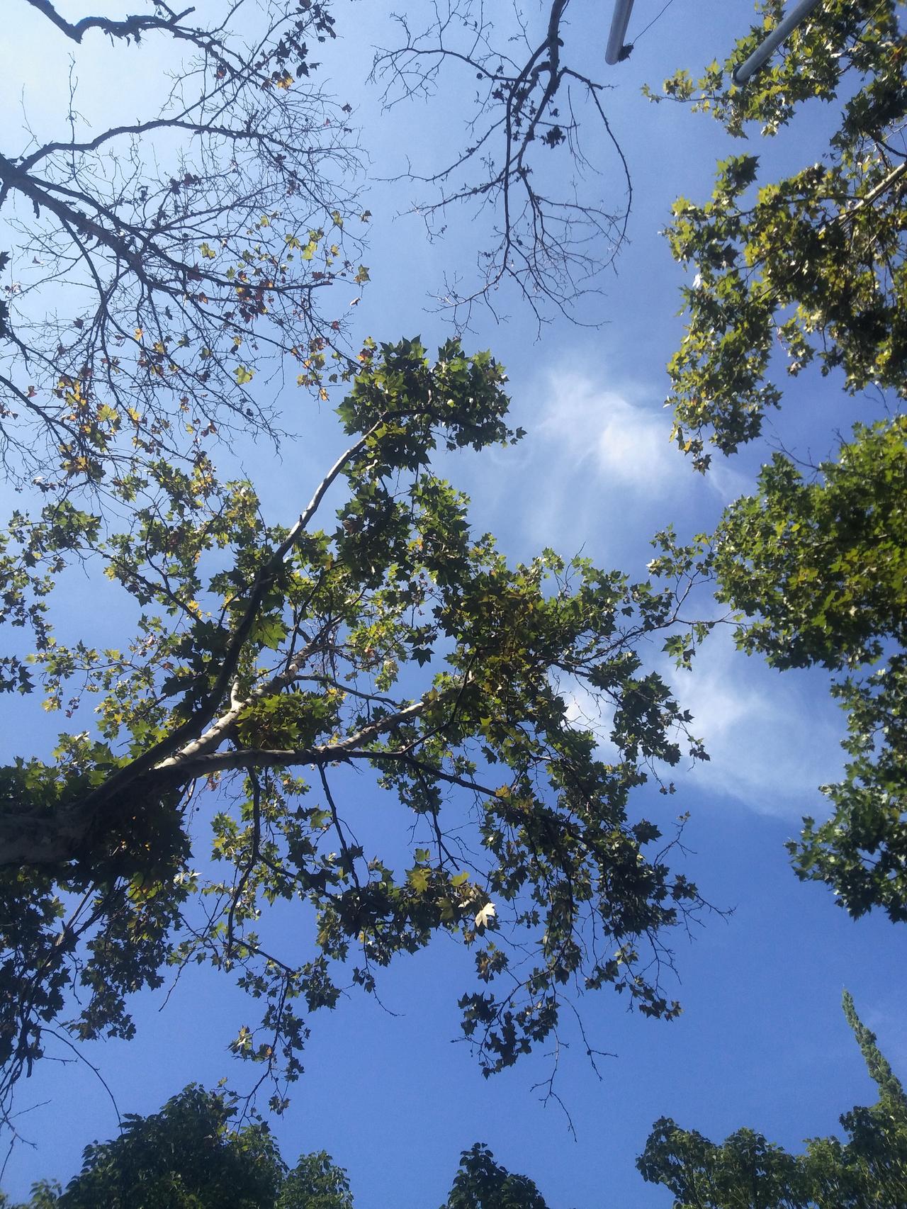 哈哈……要被这段对话笑死了！
女儿对妈妈说:“妈，压力太大，我不想工作了，想辞职