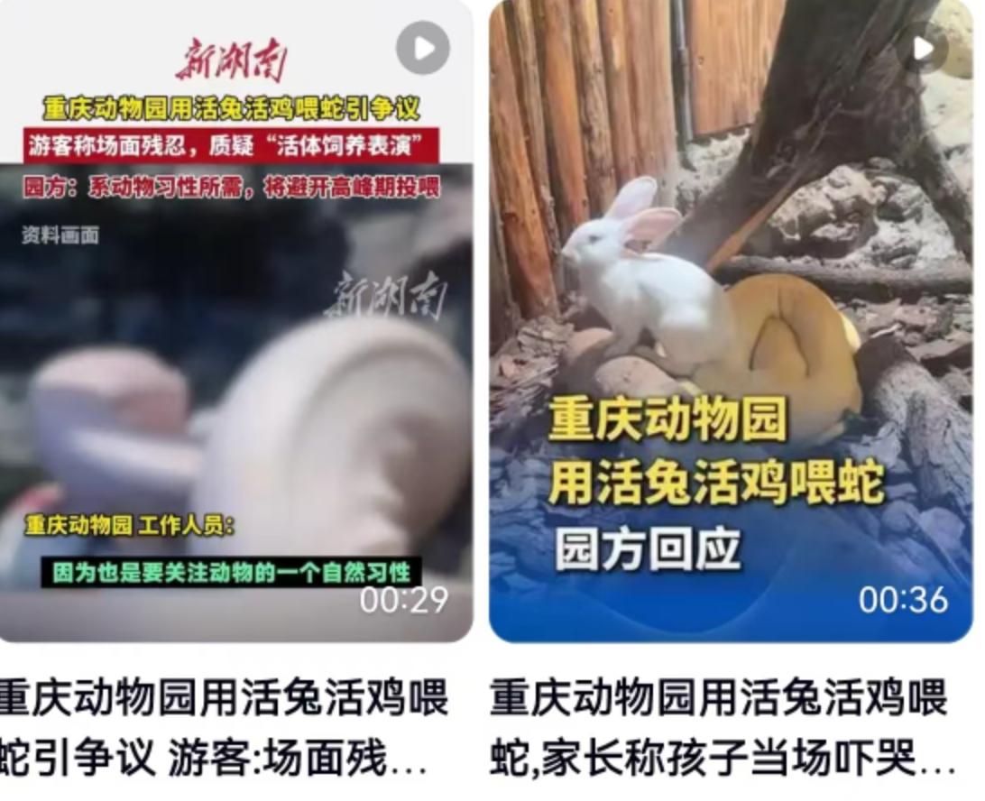 近日，重庆动物园两爬馆内的一场进食画面将园方推上了风口浪尖。有游客反映，馆内使用