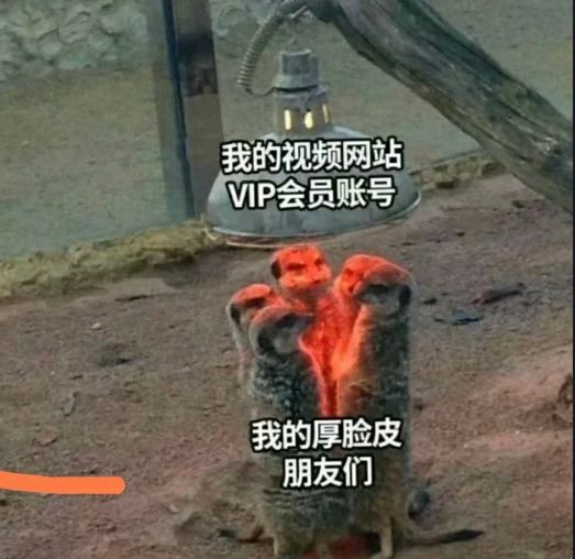 我和我的好朋友们#meme# ​​​