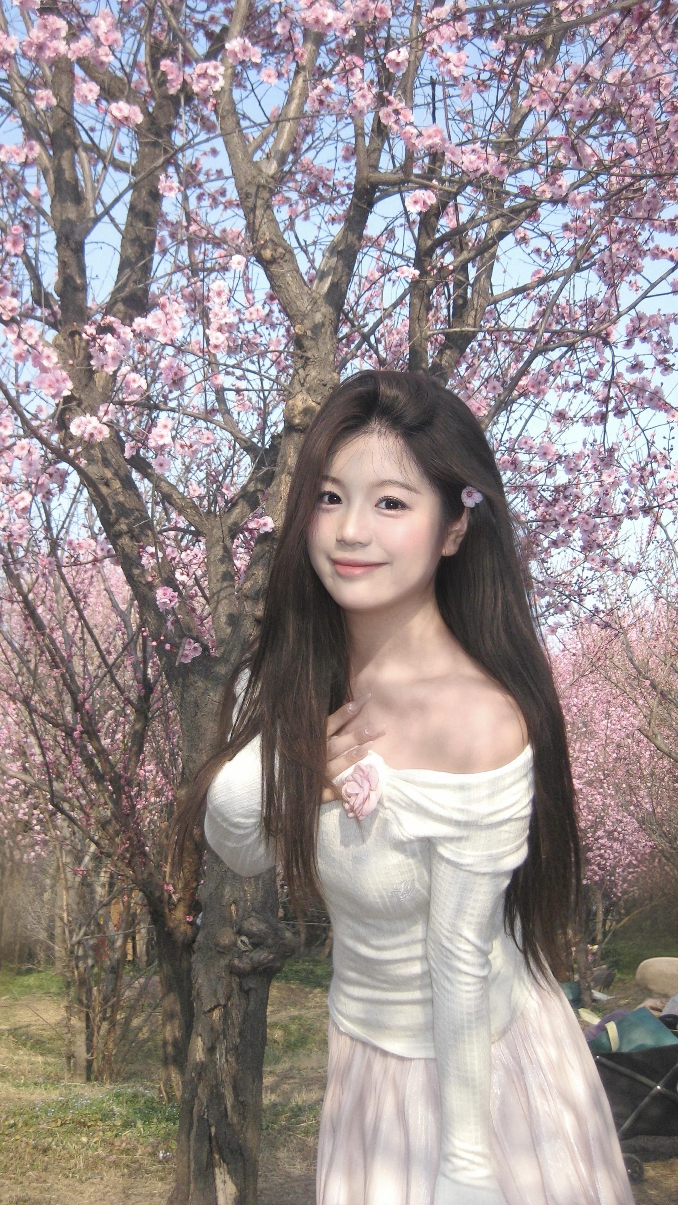 樱花飘落的速度 是我想你的频率