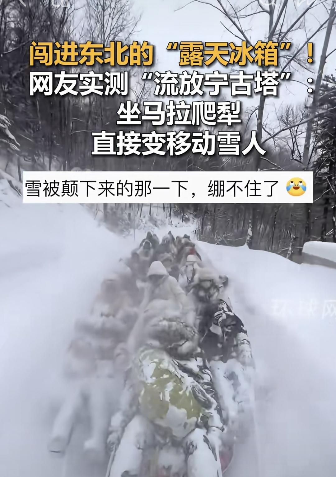 看到这个，我忍不住笑了[捂脸]
这么多南方人去体验北方生活
我想问，你们以后还去