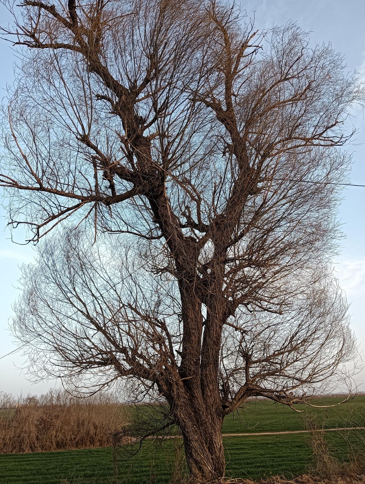 几种动物的土名，你们那里怎么叫？

1:猫头鹰:图焦
2:蝙蝠:燕鳖乎
3:松鼠